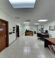 Cover photo of The Window Professionals Jupiter